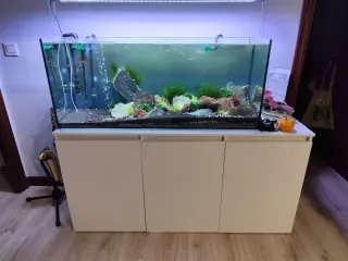 acuario eheim de 240 litros con su mueble.