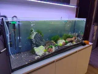 acuario eheim de 240 litros con su mueble.