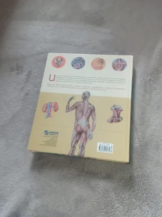 Atlas ilustrado de anatomía