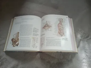 Atlas ilustrado de anatomía
