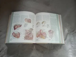 Atlas ilustrado de anatomía