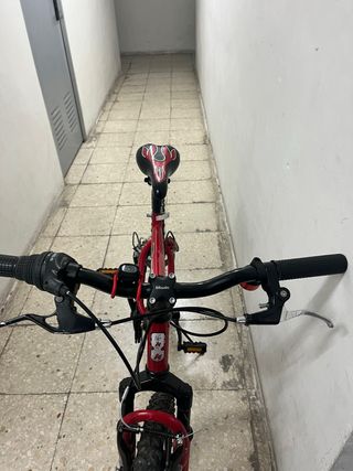 Bicicleta Orbea Rueda 20 con sillín extra regalo