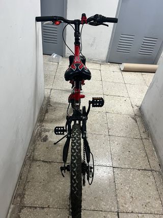 Bicicleta Orbea Rueda 20 con sillín extra regalo