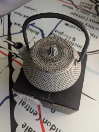 Tetera japonesa de hierro fundido Tokyo 0.35L