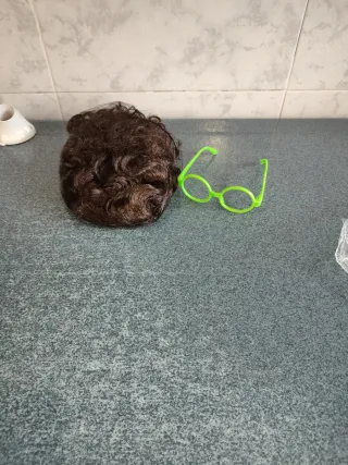 Peluca castaña y gafas verdes