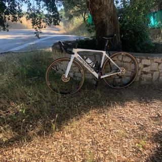 Bicicleta Megamo Raise tallaM