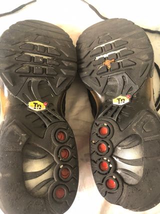 Nike Air Max Plus TN Negra y Dorada