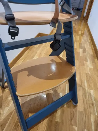 Trona evolutiva Safety 1st