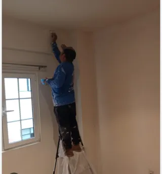 Pintores profesionales y económicos,