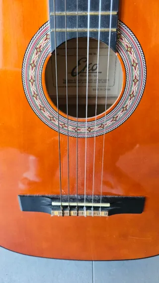 Vendo chitarra Echo CS-10 in buone condizioni