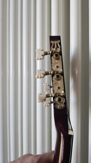 Vendo chitarra Echo CS-10 in buone condizioni