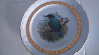 Antichi piatti in porcellana Guillen