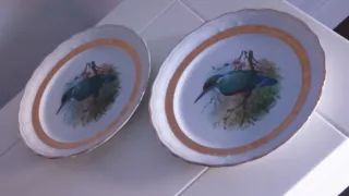 Antichi piatti in porcellana Guillen