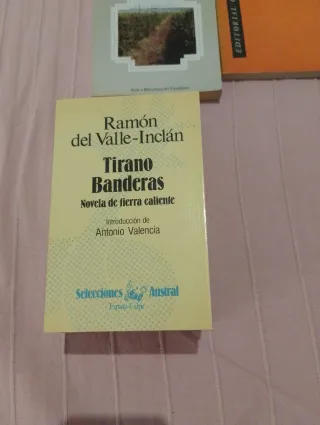 Libros de literatura española