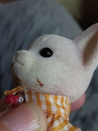 Padre perro Chihuahua Sylvanian