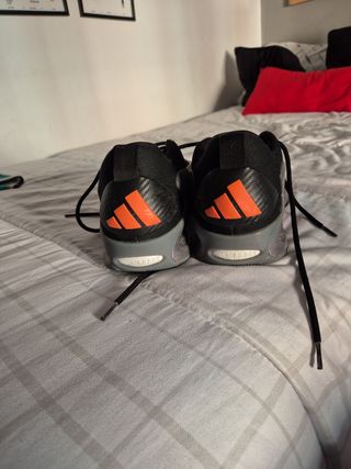 Zapatillas baloncesto adidas