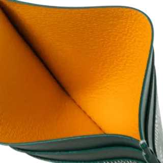 Portacarte Goyard Verde Multicolor