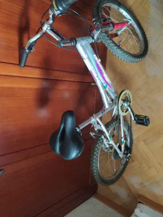 Bicicleta infantil