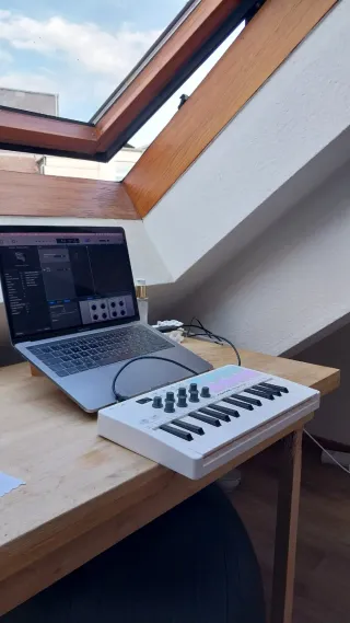 Swissonic Minikey Teclado MIDI