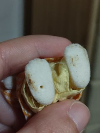 Niño perro Chihuahua Sylvanian con manchas