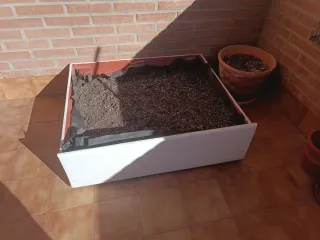 Huerto urbano con sustrato de calidad y extras