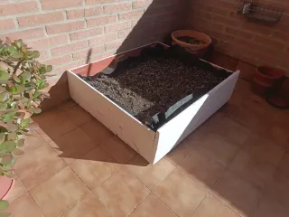 Huerto urbano con sustrato de calidad y extras