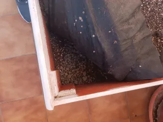 Huerto urbano con sustrato de calidad y extras