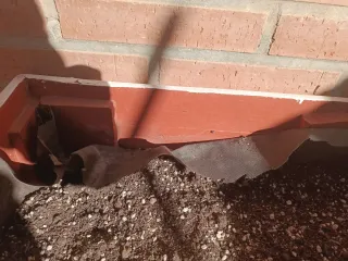 Huerto urbano con sustrato de calidad y extras