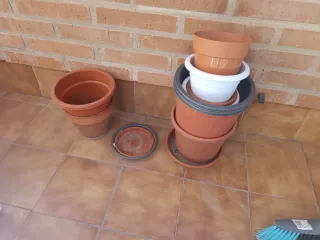 Huerto urbano con sustrato de calidad y extras