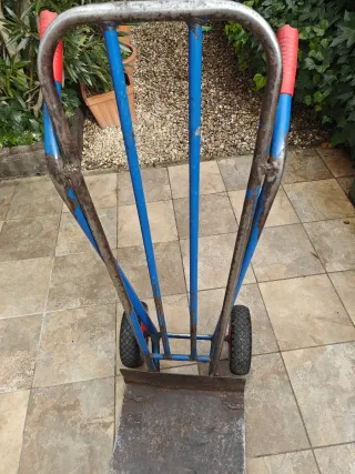 Carro para transporte