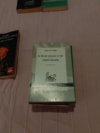 Libros de literatura clásica española