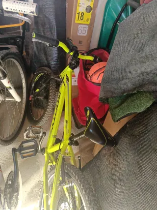 Bicicleta Monty 20 Pulgadas fluor