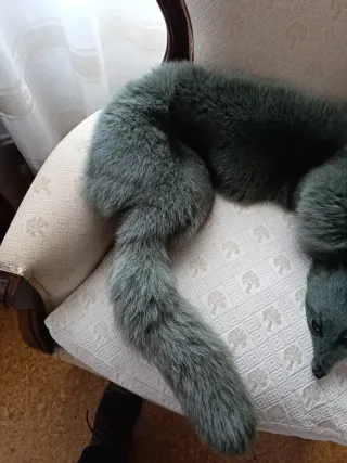 Cuello de piel de zorro gris