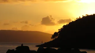 Canon PowerShot N Cámara Digital