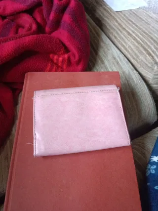 Monedero rosa Totoro