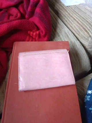 Monedero rosa Totoro