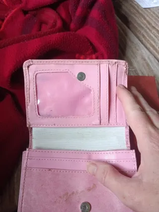 Monedero rosa Totoro