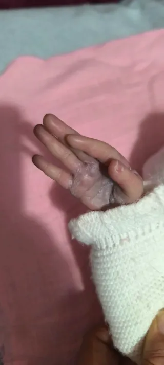 Muñeca Reborn Artesanal