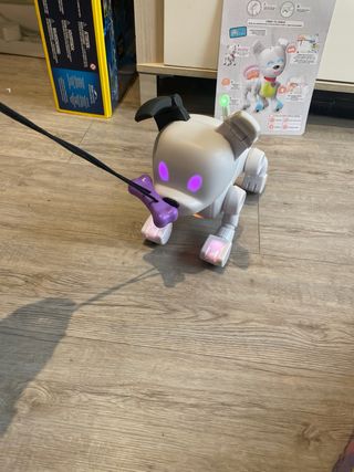 DogE  El perro robot único