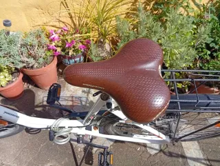 Bicicleta de paseo Megamo