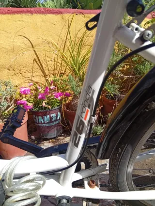 Bicicleta de paseo Megamo