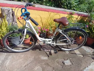 Bicicleta de paseo Megamo