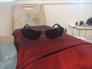 Gafas de sol Christian Dior marrones