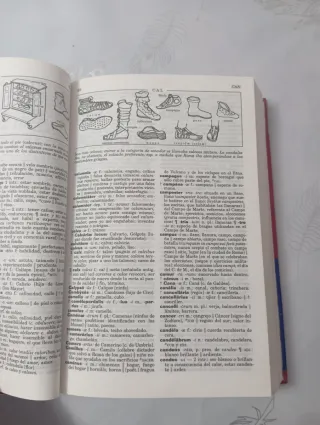 Diccionario ilustrado Latin with apendice / Lat...