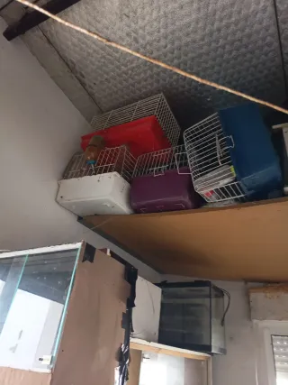 Gabbie per conigli e cavie