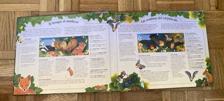 Sonidos de la noche (Sonidos de animales)