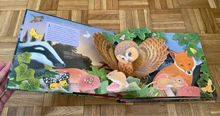 Sonidos de la noche (Sonidos de animales)