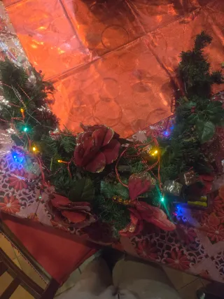 Decorazione porta natalizia con luci