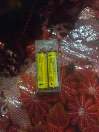 Decorazione porta natalizia con luci