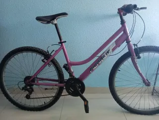 Bicicleta Morada Montaña